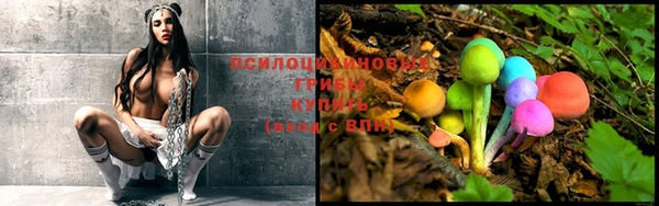 герыч Кодинск