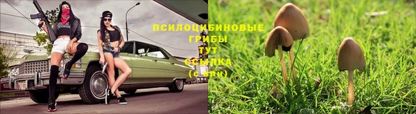 бошки Козельск