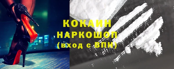 бошки Козельск