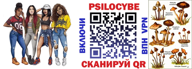 где купить наркотик  Магадан  МЕГА как зайти  Галлюциногенные грибы Magic Shrooms 